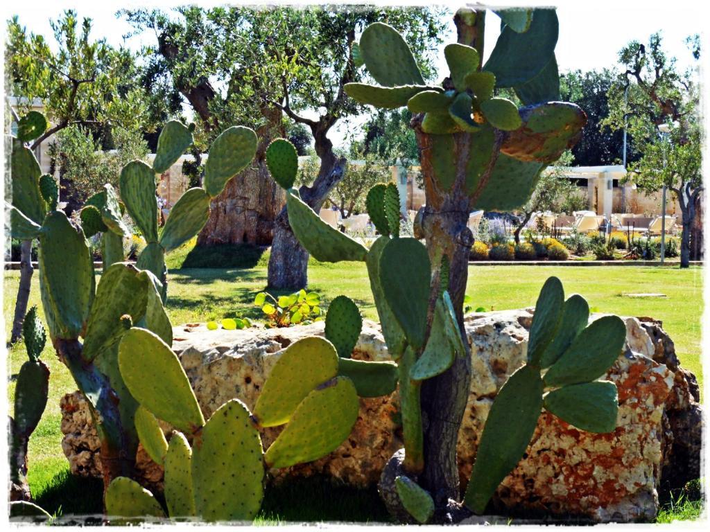 Masseria Torre Del Diamante Torre Canne Exterior foto